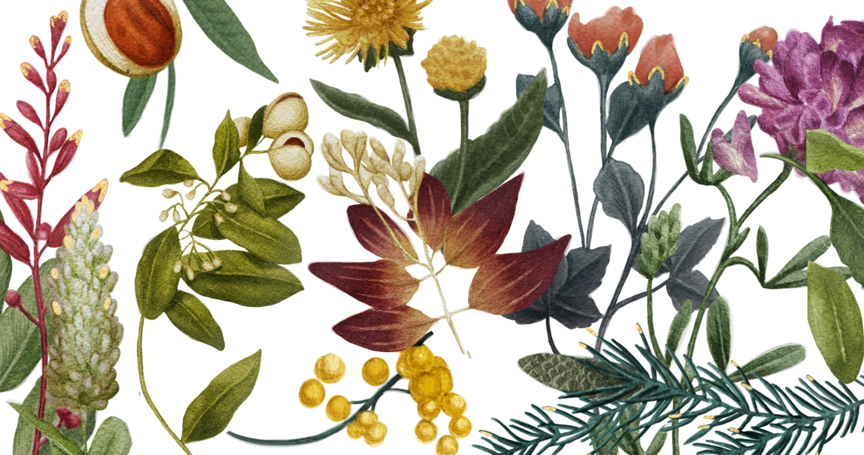 Painting of flowers and plants