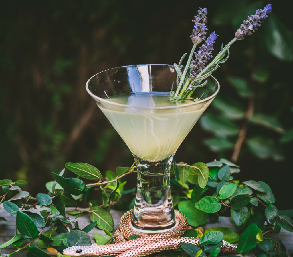 Lavender Twist Gin Cocktail surrounded by vines and a gold serpent