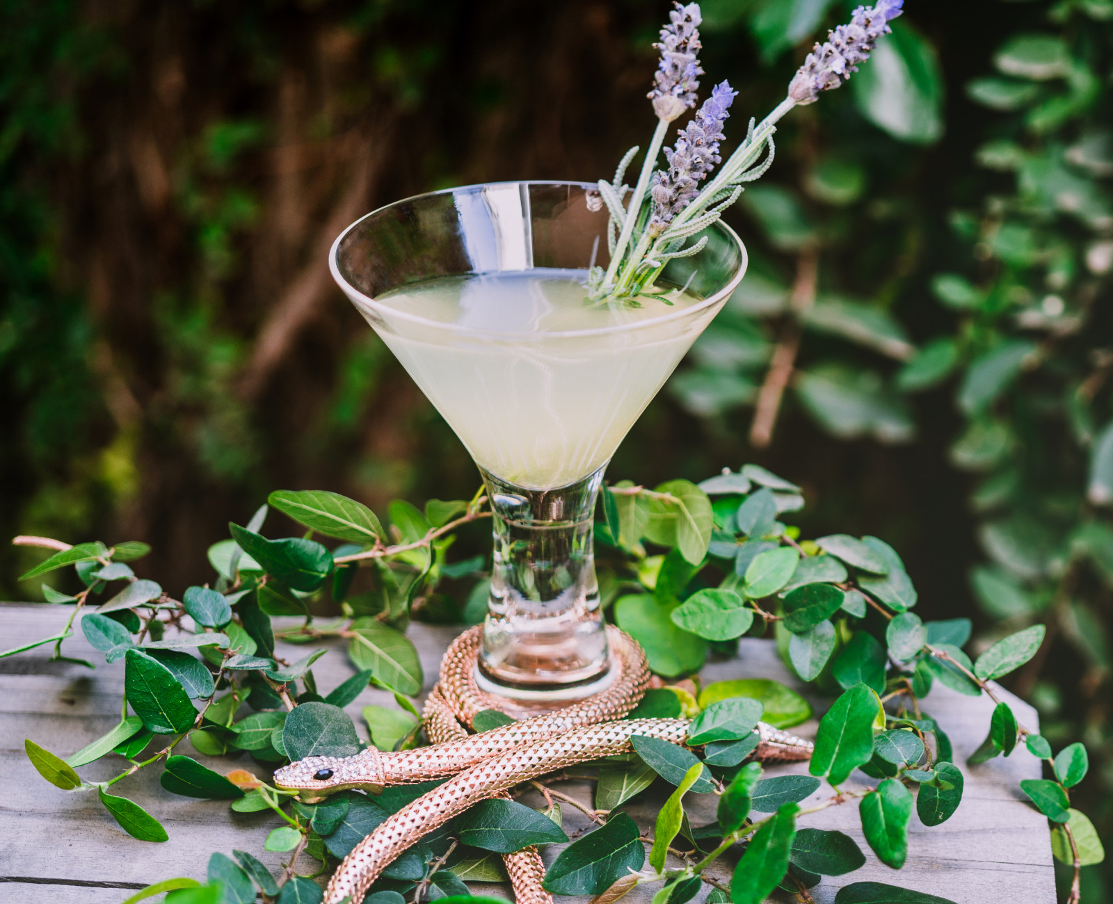 Lavender Twist Gin Cocktail surrounded by vines and a gold serpent