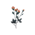 PNG of Rosebuds illustration